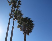 Redondo Beach
